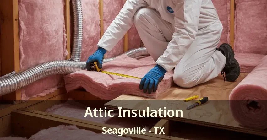 Attic Insulation Seagoville - TX