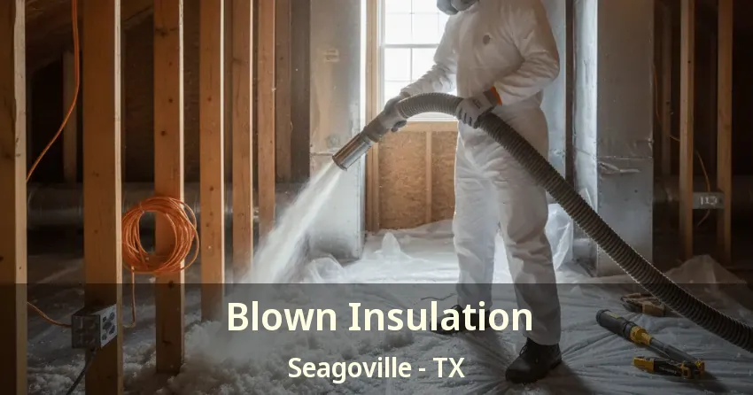 Blown Insulation Seagoville - TX
