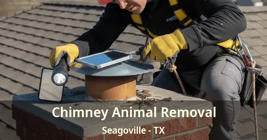 Chimney Animal Removal Seagoville - TX