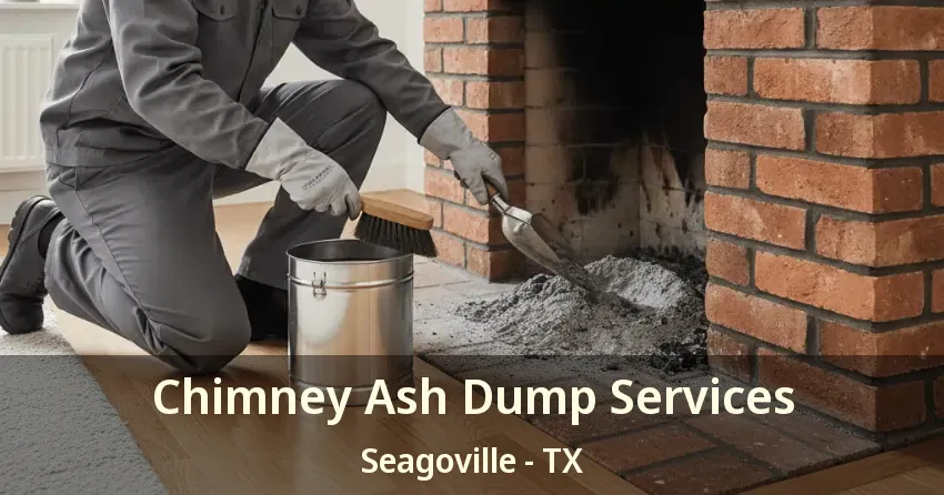 Chimney Ash Dump Services Seagoville - TX