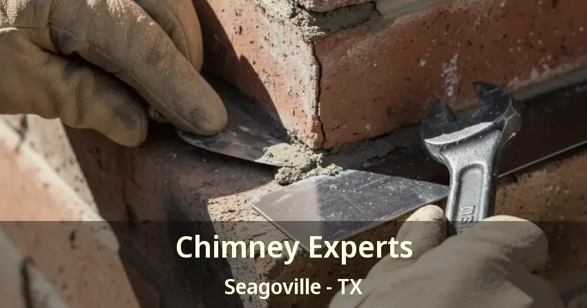 Chimney Experts Seagoville - TX