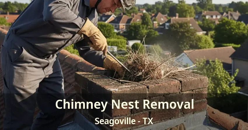 Chimney Nest Removal Seagoville - TX Chimney Nest Removal Seagoville - TX