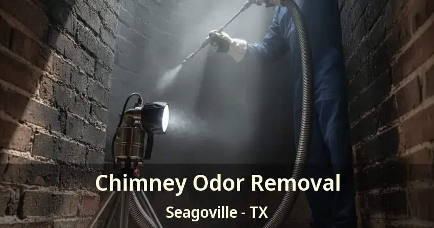 Chimney Odor Removal Seagoville - TX