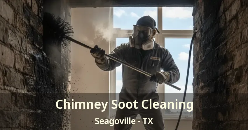 Chimney Soot Cleaning Seagoville - TX