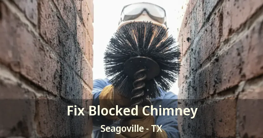 Fix Blocked Chimney Seagoville - TX