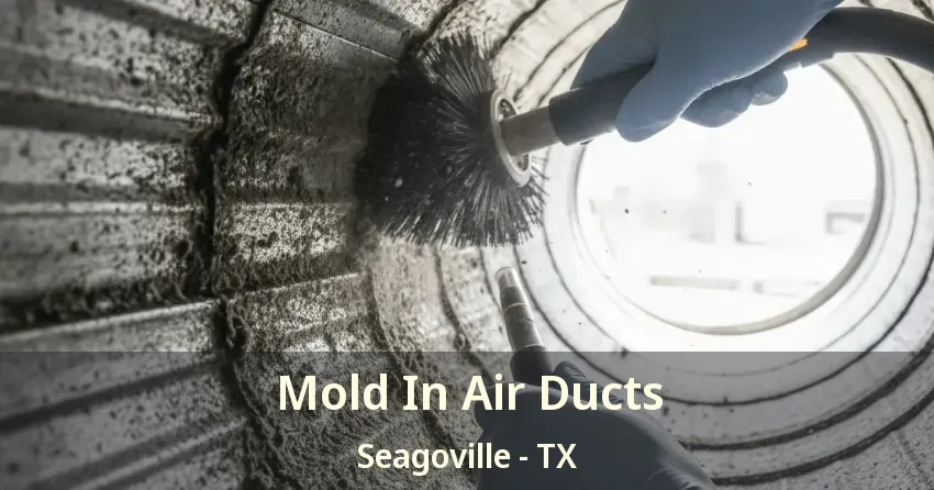 Mold In Air Ducts Seagoville - TX