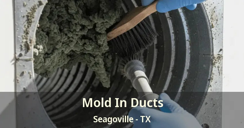 Mold In Ducts Seagoville - TX