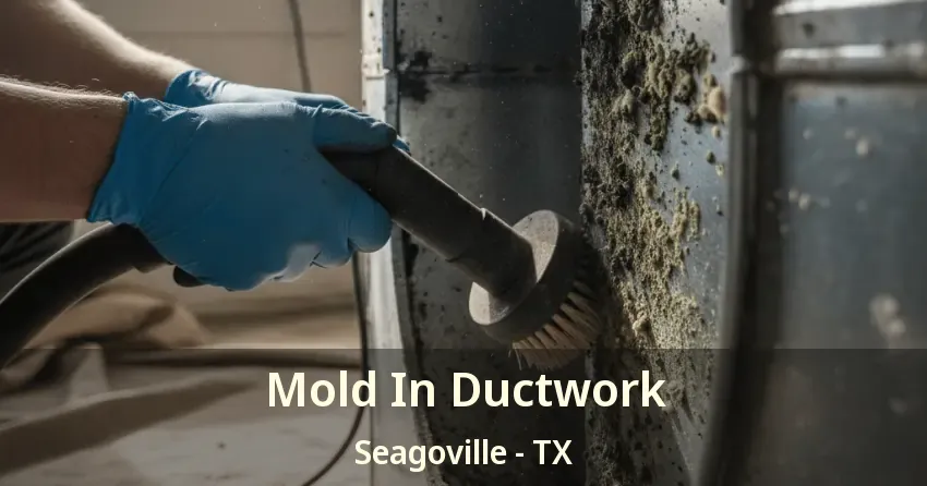 Mold In Ductwork Seagoville - TX