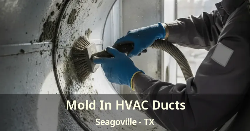 Mold In HVAC Ducts Seagoville - TX