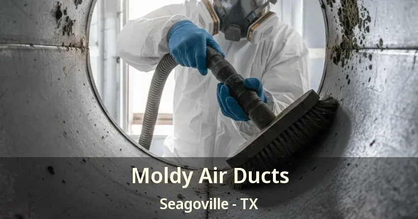 Moldy Air Ducts Seagoville - TX